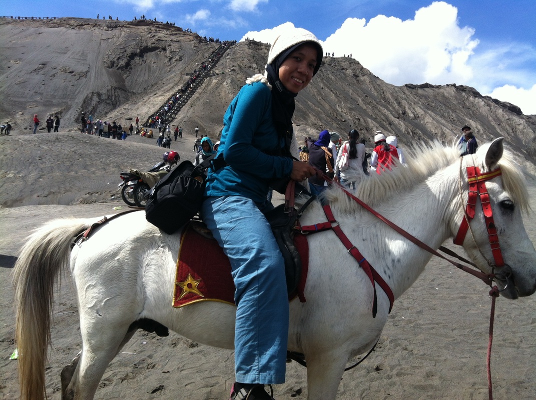 berkuda menuju kawah gunung Bromo, Jawa Timur