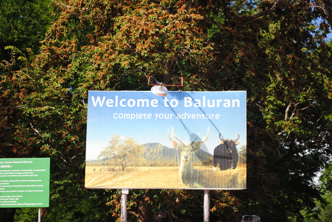 Welcome to Baluran