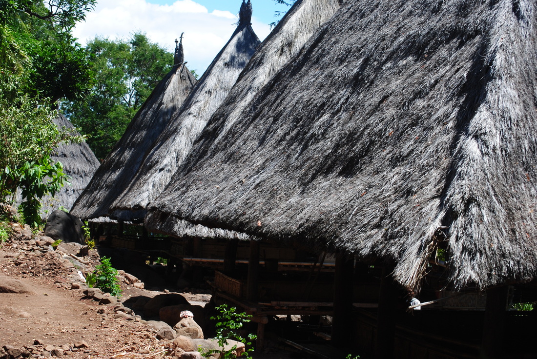 rumah adat suku Abui di desa Takpala, Alor, NTT