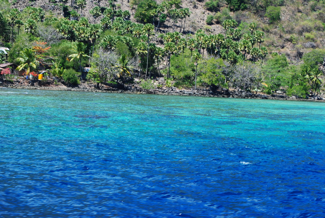 jernih dan birunya laut di Pulau Pura, Alor, NTT