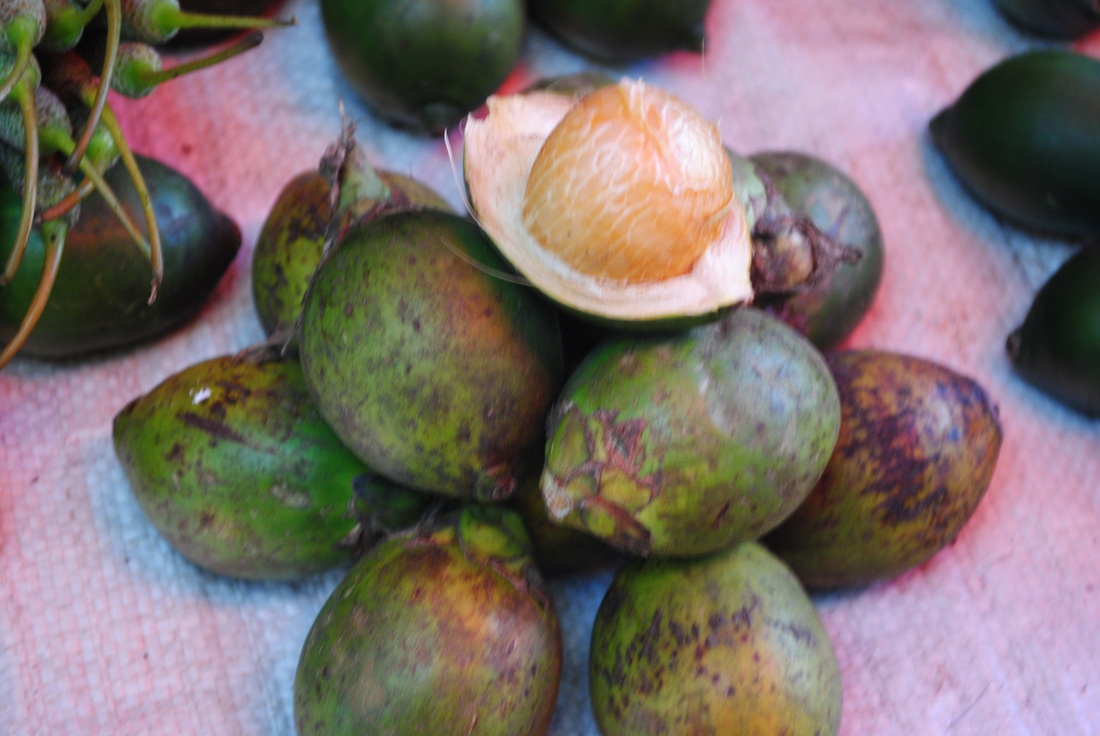 buah Pinang, Alor, NTT