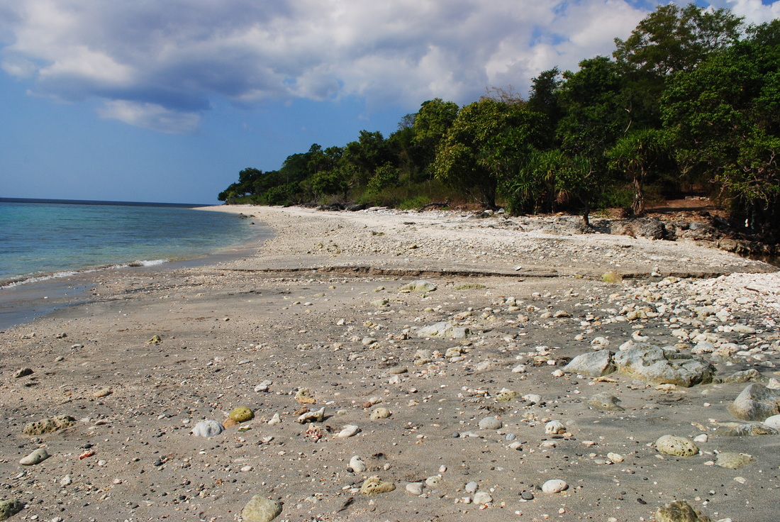 pantai di Pulau Moyo, Sumbawa, NTB